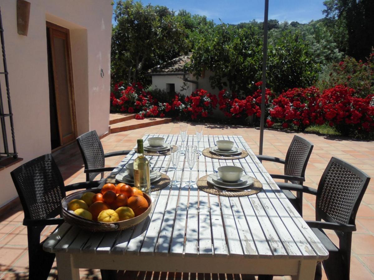 Betania Guest House Grazalema Exterior photo