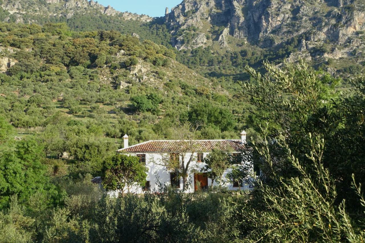 Betania Guest House Grazalema Exterior photo